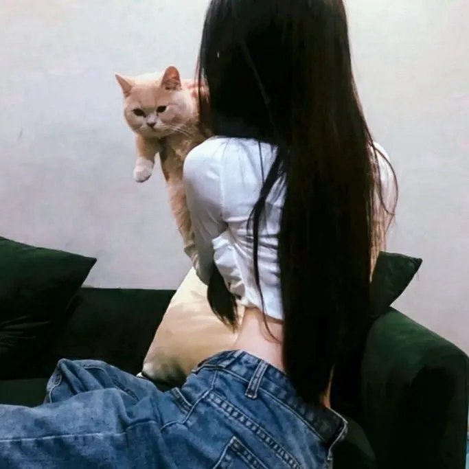 踏破铁鞋回家路